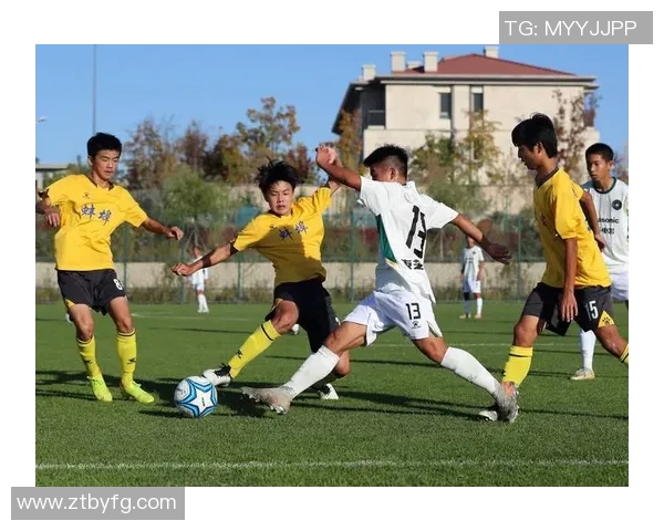 中国足球体制改革的现状与未来发展路径探讨与思考